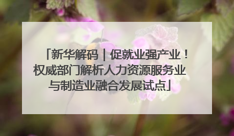 新华解码｜促就业强产业！权威部门解析人力资源服务业与制造业融合发展试点