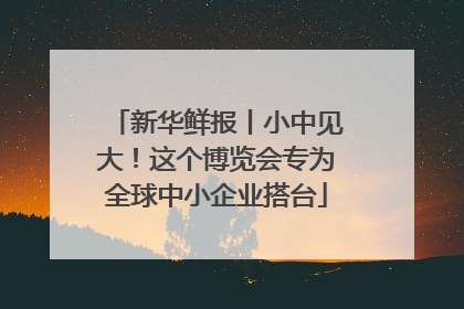 新华鲜报丨小中见大！这个博览会专为全球中小企业搭台