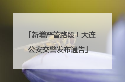新增严管路段！大连公安交警发布通告