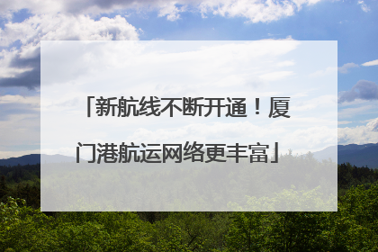 新航线不断开通！厦门港航运网络更丰富