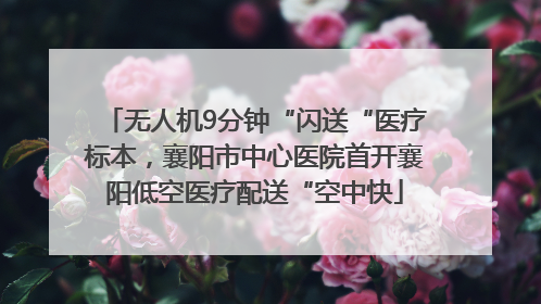 无人机9分钟“闪送“医疗标本，襄阳市中心医院首开襄阳低空医疗配送“空中快