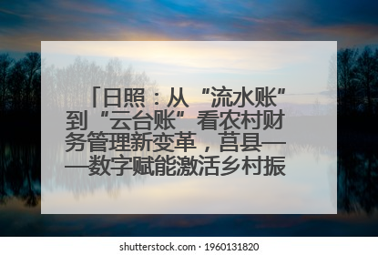 日照：从“流水账”到“云台账”看农村财务管理新变革，莒县——数字赋能激活乡村振兴“一池春水”