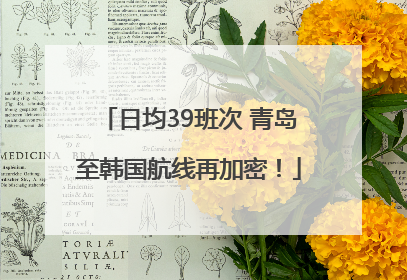 日均39班次 青岛至韩国航线再加密！