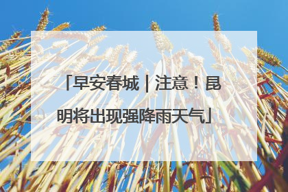 早安春城｜注意！昆明将出现强降雨天气