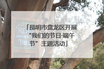 昆明市盘龙区开展“我们的节日·端午节”主题活动