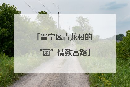 晋宁区青龙村的“菌”情致富路