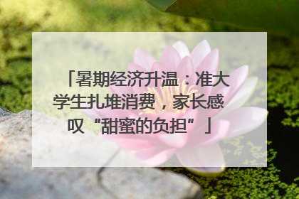 暑期经济升温：准大学生扎堆消费，家长感叹“甜蜜的负担”