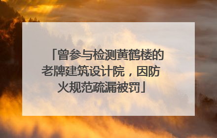 曾参与检测黄鹤楼的老牌建筑设计院，因防火规范疏漏被罚