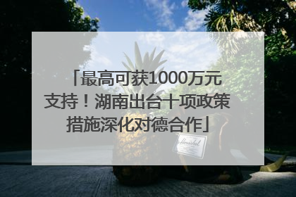 最高可获1000万元支持！湖南出台十项政策措施深化对德合作