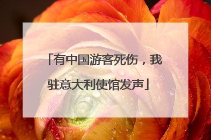 有中国游客死伤，我驻意大利使馆发声