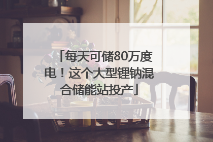 每天可储80万度电！这个大型锂钠混合储能站投产