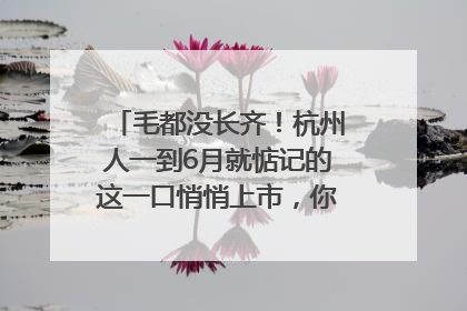 毛都没长齐！杭州人一到6月就惦记的这一口悄悄上市，你打算尝鲜吗？