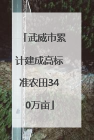 武威市累计建成高标准农田340万亩