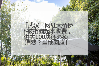 武汉一网红大桥桥下被指圈起来收费，进去100块还必须消费？当地回应