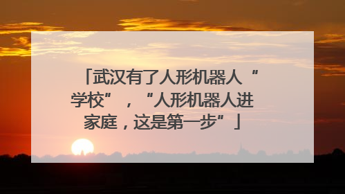 武汉有了人形机器人“学校”，“人形机器人进家庭，这是第一步”