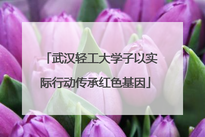 武汉轻工大学子以实际行动传承红色基因