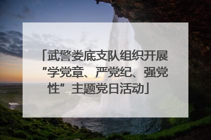 武警娄底支队组织开展“学党章、严党纪、强党性”主题党日活动