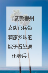 武警郴州支队官兵带着家乡味的粽子看望退伍老兵