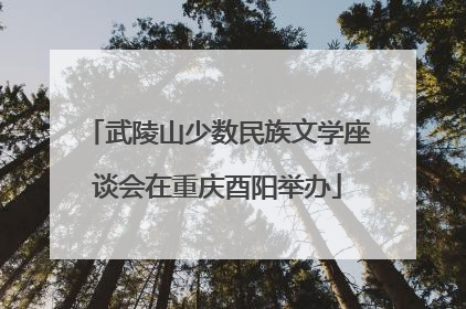 武陵山少数民族文学座谈会在重庆酉阳举办