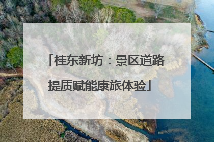 桂东新坊：景区道路提质赋能康旅体验