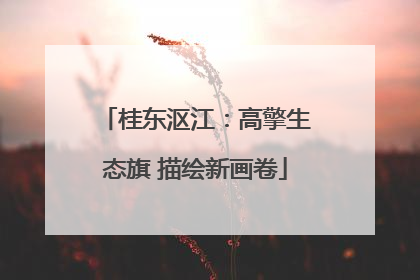 桂东沤江：高擎生态旗 描绘新画卷