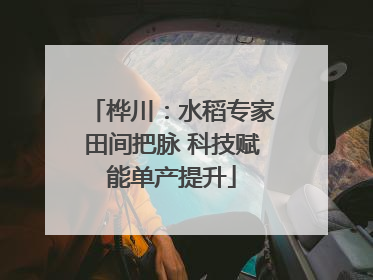 桦川：水稻专家田间把脉 科技赋能单产提升