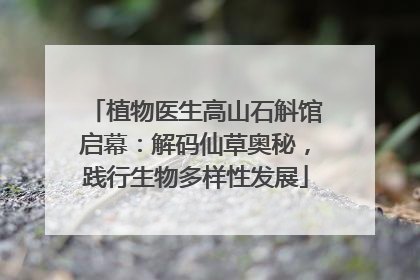 植物医生高山石斛馆启幕：解码仙草奥秘，践行生物多样性发展