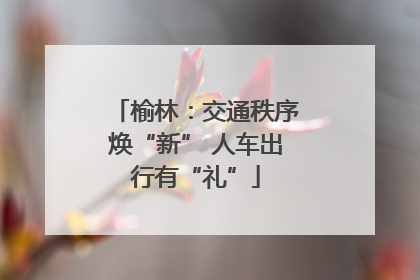 榆林：交通秩序焕“新” 人车出行有“礼”