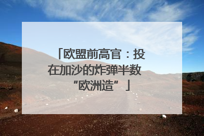 欧盟前高官：投在加沙的炸弹半数“欧洲造”