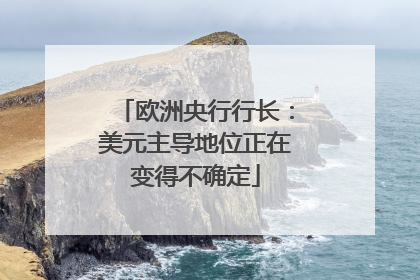 欧洲央行行长：美元主导地位正在变得不确定