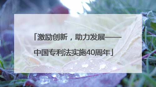 激励创新，助力发展——中国专利法实施40周年