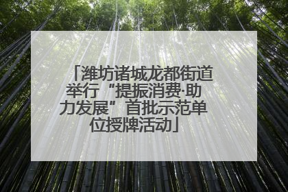 潍坊诸城龙都街道举行“提振消费·助力发展”首批示范单位授牌活动