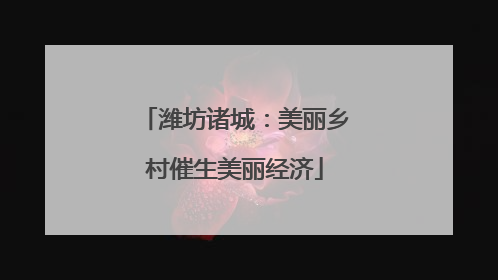潍坊诸城：美丽乡村催生美丽经济