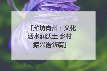 潍坊青州：文化活水润沃土 乡村振兴谱新篇