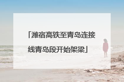 潍宿高铁至青岛连接线青岛段开始架梁