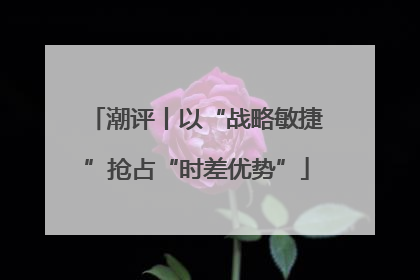 潮评丨以“战略敏捷”抢占“时差优势”