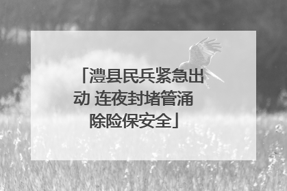 澧县民兵紧急出动 连夜封堵管涌除险保安全