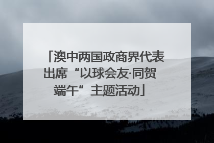 澳中两国政商界代表出席“以球会友·同贺端午”主题活动