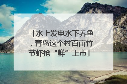 水上发电水下养鱼，青岛这个村百亩竹节虾抢“鲜”上市
