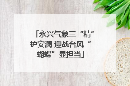 永兴气象三“精”护安澜 迎战台风“蝴蝶”显担当