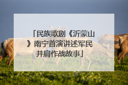 民族歌剧《沂蒙山》南宁首演讲述军民并肩作战故事