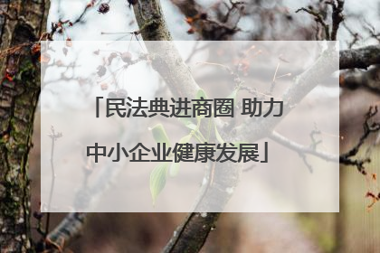 民法典进商圈 助力中小企业健康发展