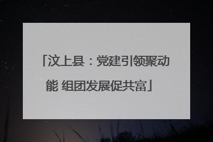 汶上县：党建引领聚动能 组团发展促共富
