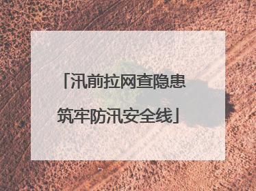 汛前拉网查隐患 筑牢防汛安全线
