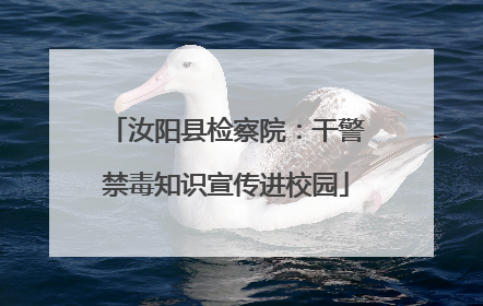 汝阳县检察院：干警禁毒知识宣传进校园