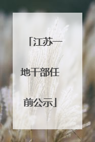江苏一地干部任前公示
