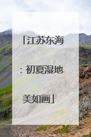 江苏东海：初夏湿地美如画