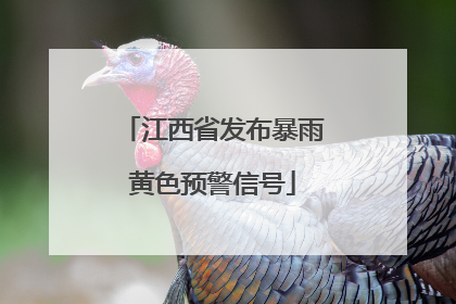江西省发布暴雨黄色预警信号