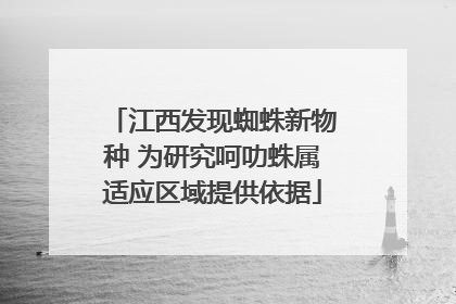 江西发现蜘蛛新物种 为研究呵叻蛛属适应区域提供依据