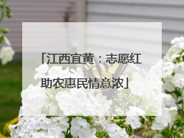 江西宜黄：志愿红助农惠民情意浓